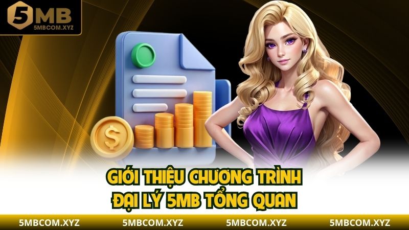 Giới thiệu chương trình đại lý 5MB tổng quan