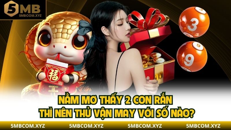 Nằm mơ thấy 2 con rắn thì nên thử vận may với số nào?