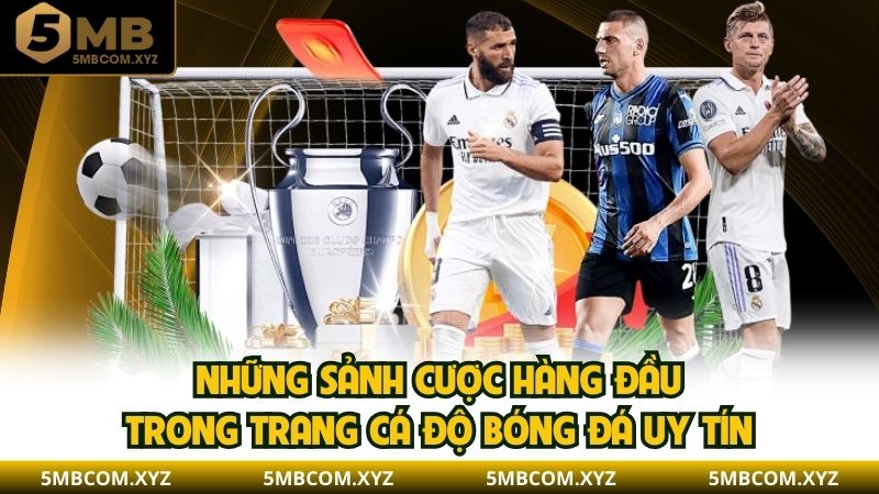 Những sảnh cược hàng đầu trong trang cá độ bóng đá uy tín