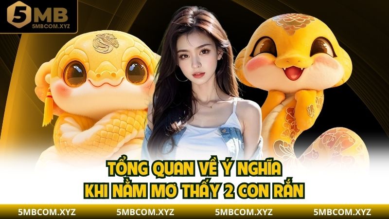 Tổng quan về ý nghĩa khi nằm mơ thấy 2 con rắn