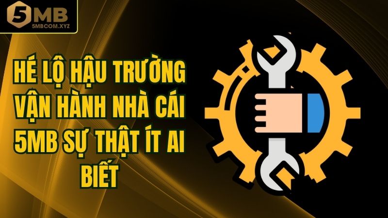 Hé Lộ Hậu Trường Vận Hành Nhà Cái 5MB Sự Thật Ít Ai Biết
