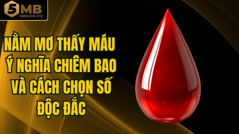 Nằm Mơ Thấy Máu - Ý Nghĩa Chiêm Bao Và Cách Chọn Số Độc Đắc